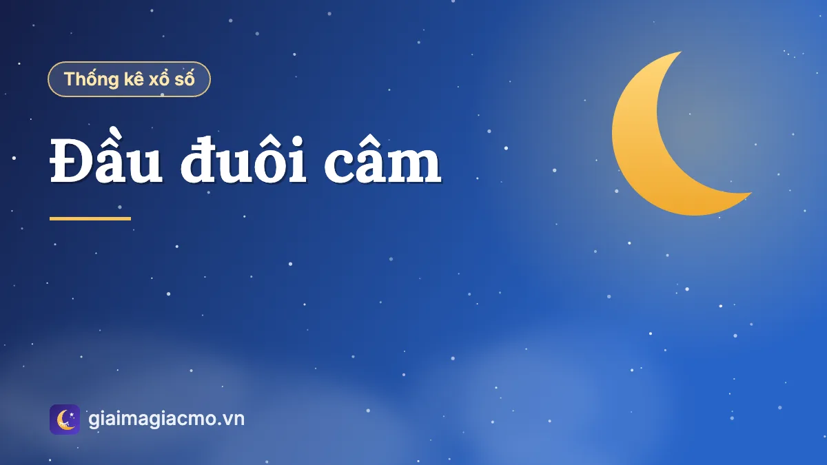 Minh hoạ bảng số liệu Đầu đuôi câm tổng hợp từ kết quả xổ số đã công bố