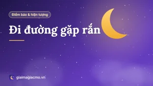 Con rắn bò ngang qua con đường làng