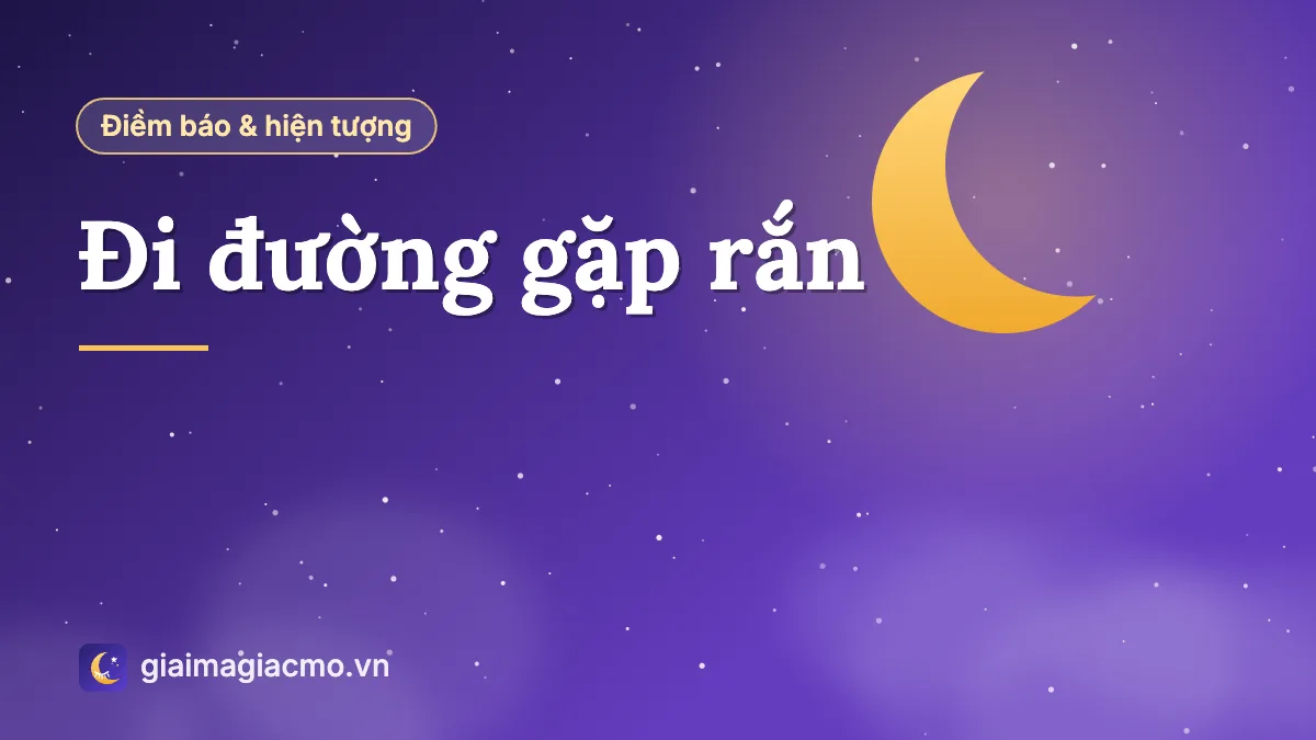 Con rắn bò ngang qua con đường làng