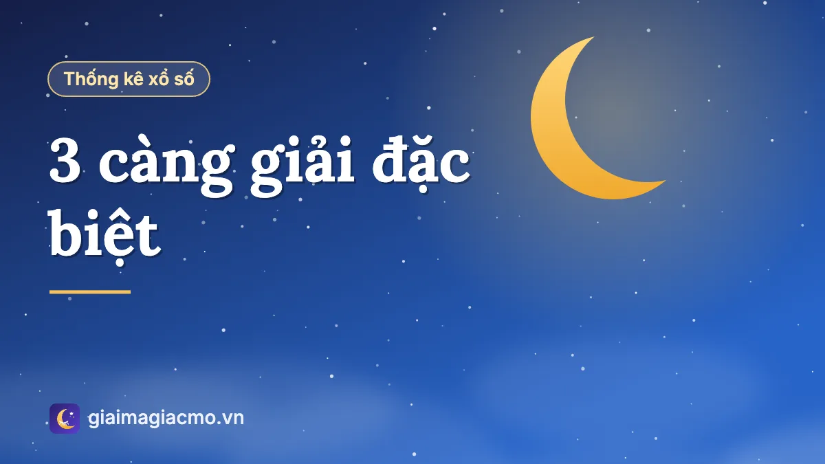 Minh hoạ bảng số liệu 3 càng giải đặc biệt tổng hợp từ kết quả xổ số đã công bố