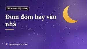 Đom đóm bay vào nhà