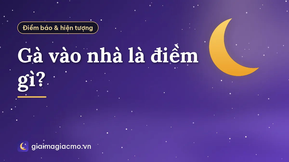 Gà vào nhà là điềm gì?