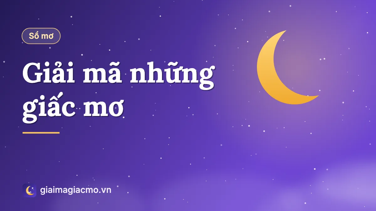 Minh hoạ giải mã những giấc mơ phổ biến theo sổ mơ dân gian