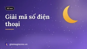 Giải mã số điện thoại
