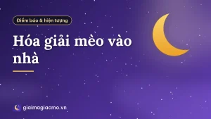 Hóa giải mèo vào nhà