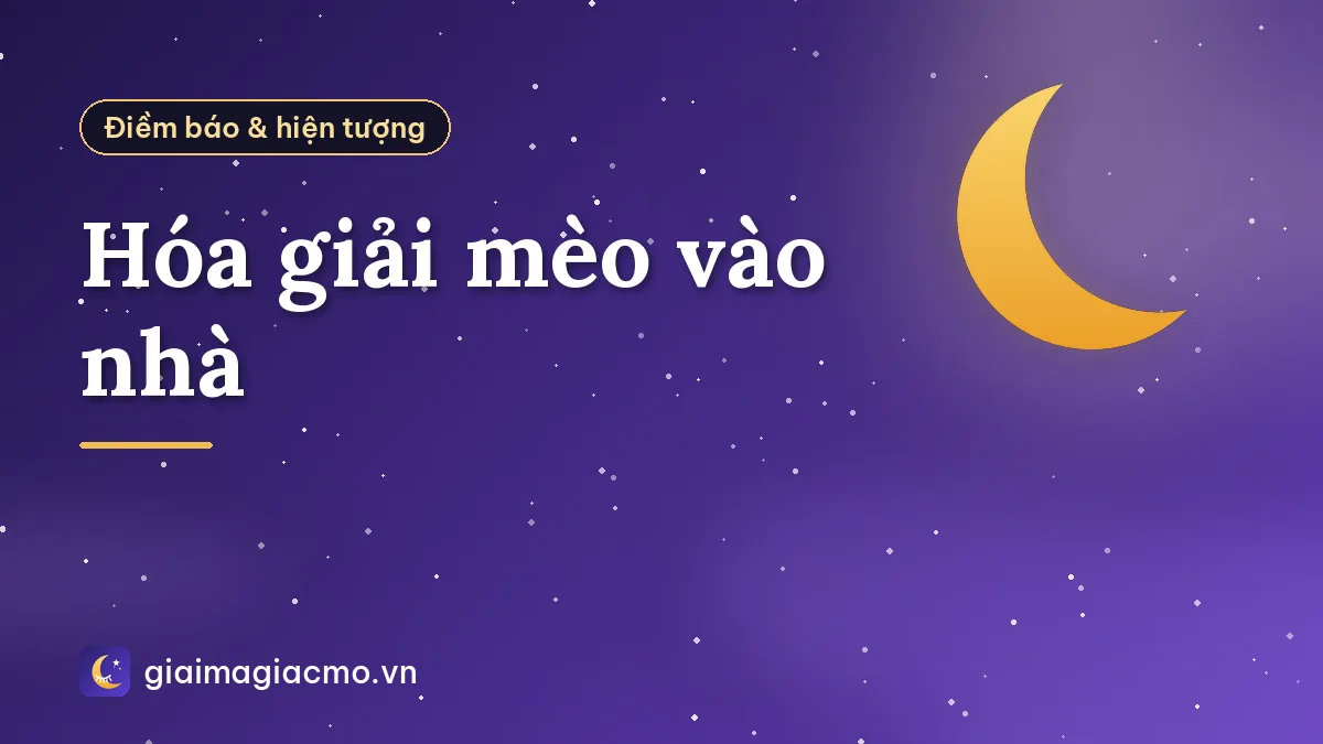 Hóa giải mèo vào nhà