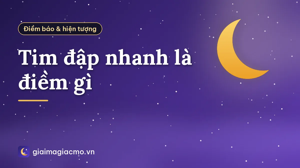 Tim đập nhanh là điềm gì