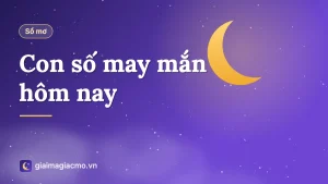 Minh hoạ bảng con số may mắn hôm nay theo 12 con giáp
