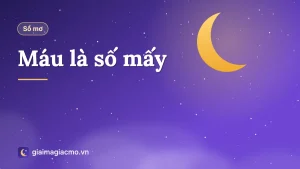 Minh hoạ giọt máu đỏ và cuốn sổ mơ dân gian giải nghĩa máu là số mấy