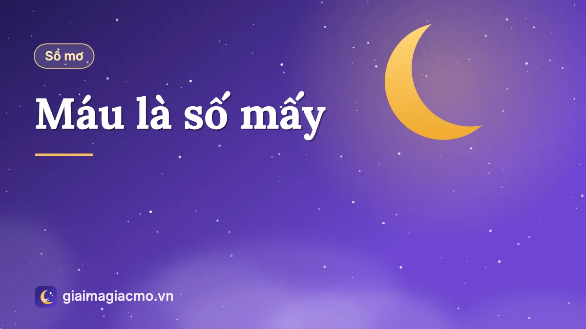 Minh hoạ giọt máu đỏ và cuốn sổ mơ dân gian giải nghĩa máu là số mấy
