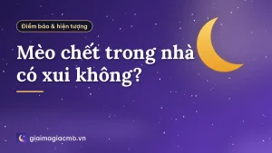Mèo chết trong nhà có xui không?