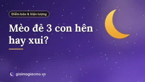 Mèo đẻ 3 con hên hay xui?
