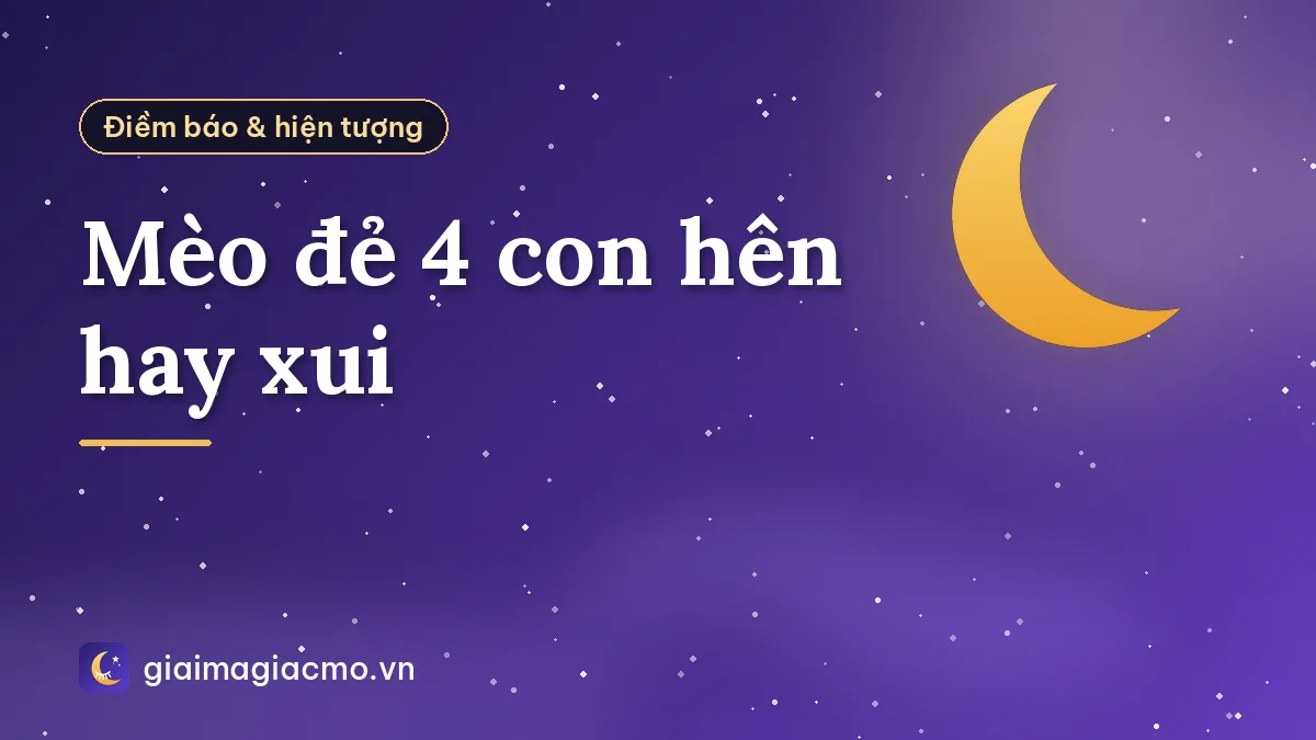 Mèo đẻ 4 con hên hay xui