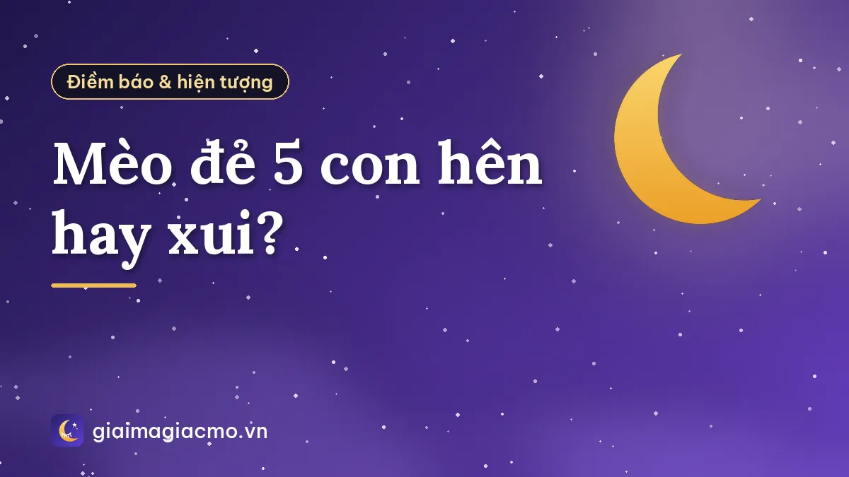 Mèo đẻ 5 con hên hay xui?