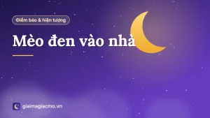 Minh hoạ con mèo đen bước vào nhà qua ngưỡng cửa