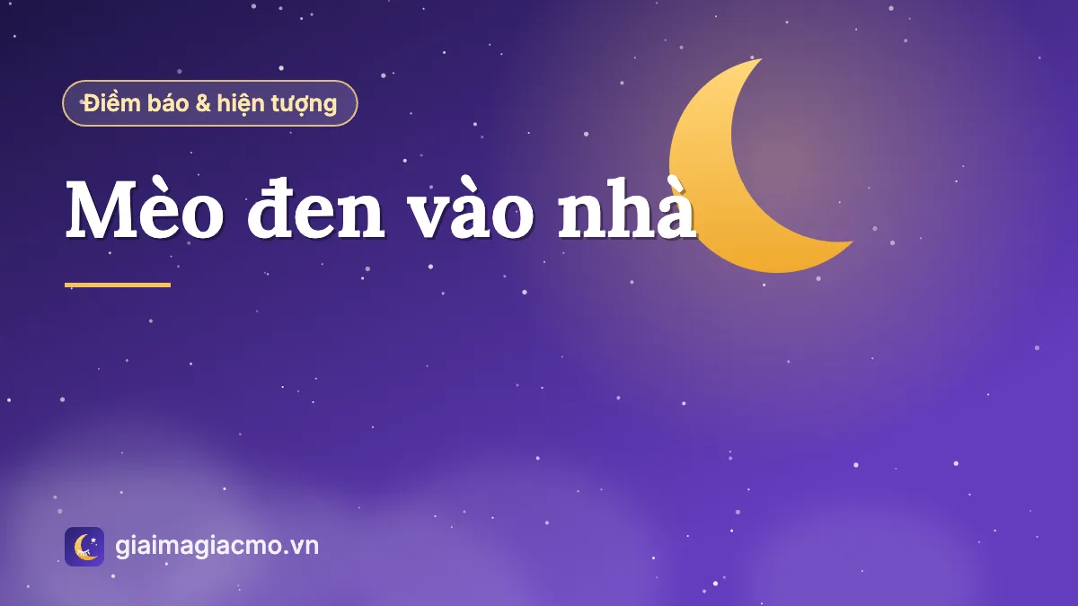 Minh hoạ con mèo đen bước vào nhà qua ngưỡng cửa