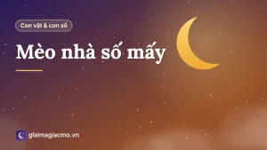 Minh hoạ chú mèo nhà nằm trước hiên nhà