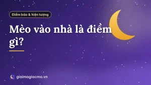 Mèo vào nhà là điềm gì?