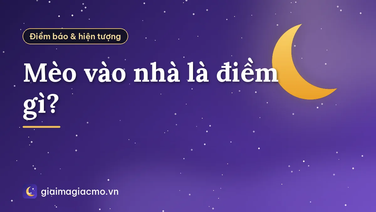 Mèo vào nhà là điềm gì?