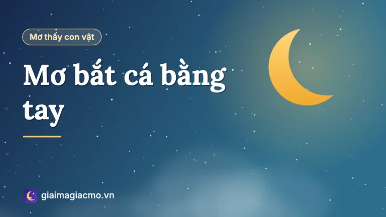 Nằm mơ bắt cá bằng tay là điềm gì, đánh con gì?