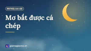 Minh hoạ giấc mơ bắt được cá chép vàng dưới ao