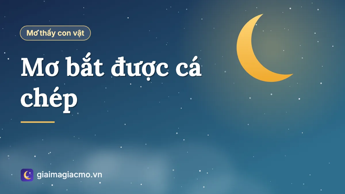 Minh hoạ giấc mơ bắt được cá chép vàng dưới ao