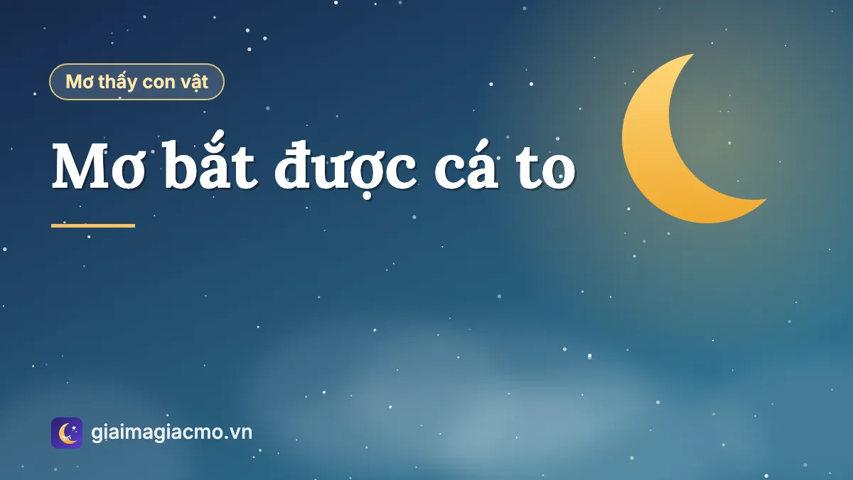 Minh hoạ giải mã giấc mơ bắt được con cá to