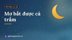 Mơ bắt được cá trắm