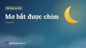 Minh hoạ giải mã giấc mơ bắt được chim trong tay
