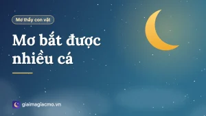 Minh hoạ người kéo lưới đầy cá trong giấc mơ bắt được nhiều cá