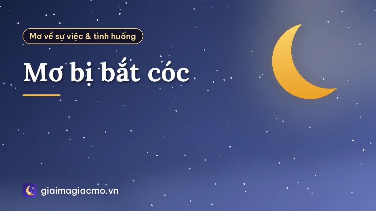 Mơ bị bắt cóc