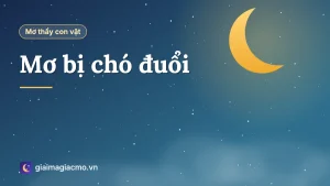 Minh hoạ giải mã giấc mơ bị con chó đuổi theo trên đường