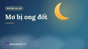Minh hoạ giấc mơ bị đàn ong vàng bay quanh và đốt vào tay