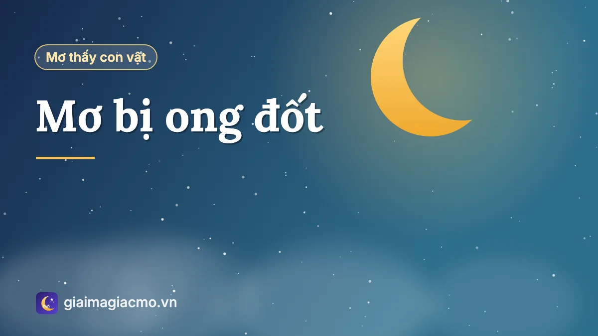 Minh hoạ giấc mơ bị đàn ong vàng bay quanh và đốt vào tay
