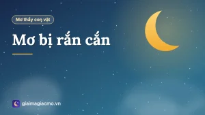 Minh hoạ giấc mơ bị rắn cắn vào tay