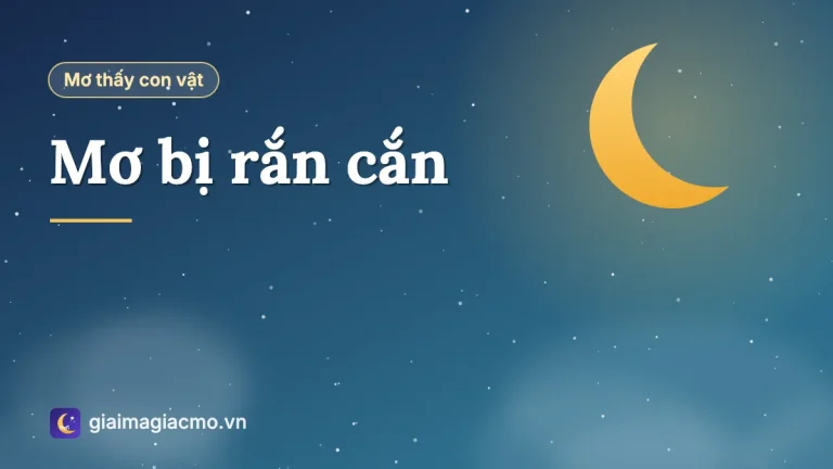 Nằm mơ bị rắn cắn là điềm gì? Giải mã theo vị trí, màu rắn và tình huống