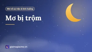 Minh hoạ giấc mơ bị trộm, mất trộm đồ