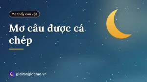 Mơ câu được cá chép