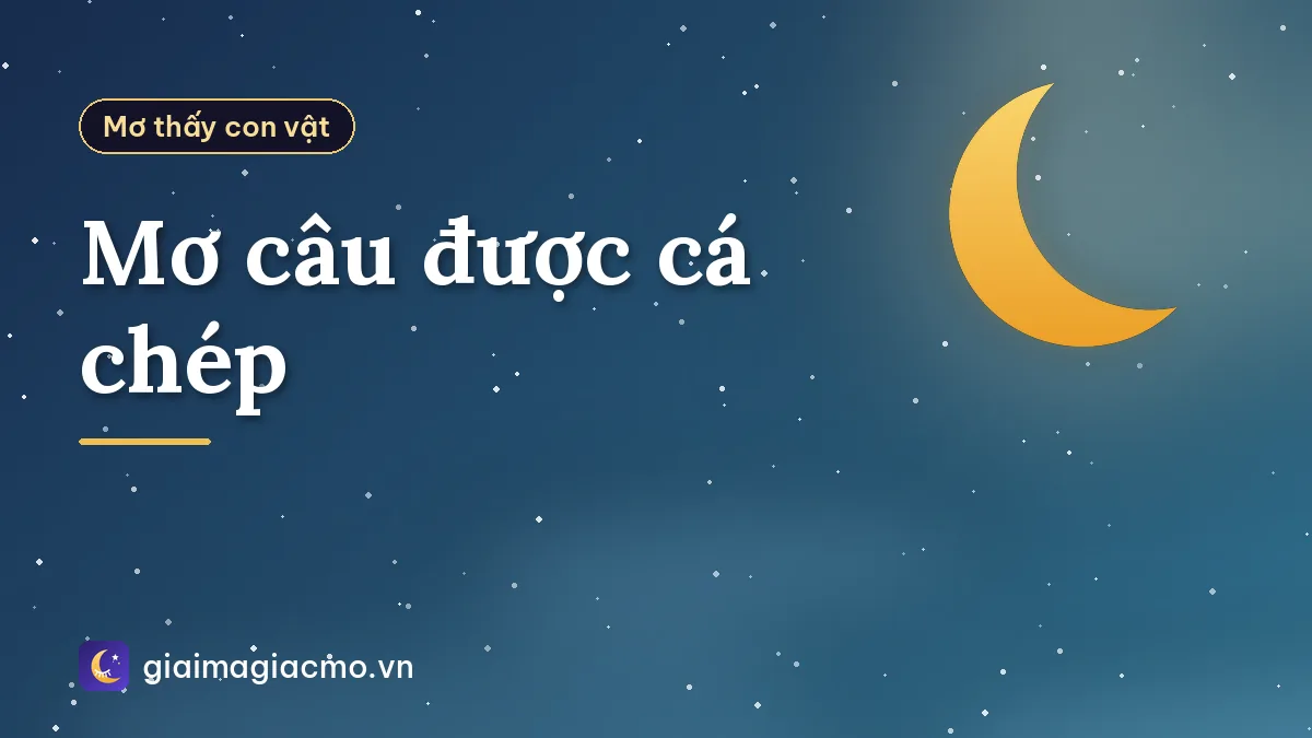 Mơ câu được cá chép