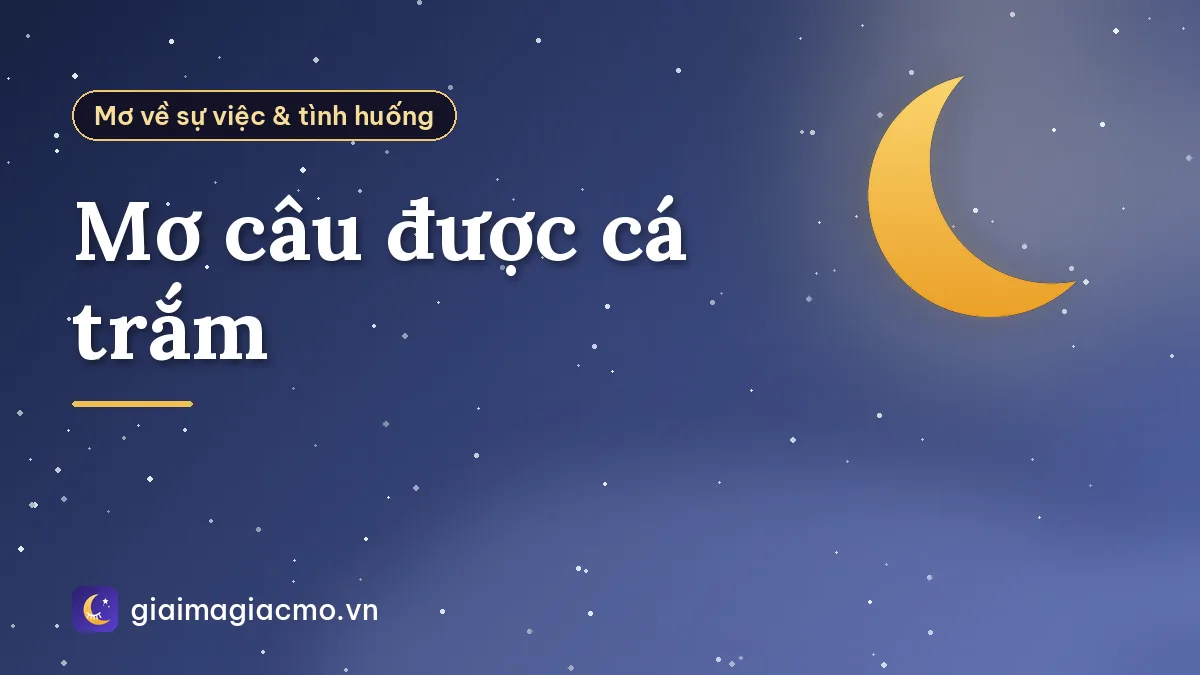 Mơ câu được cá trắm