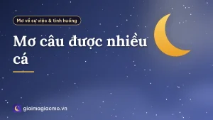 Mơ câu được nhiều cá