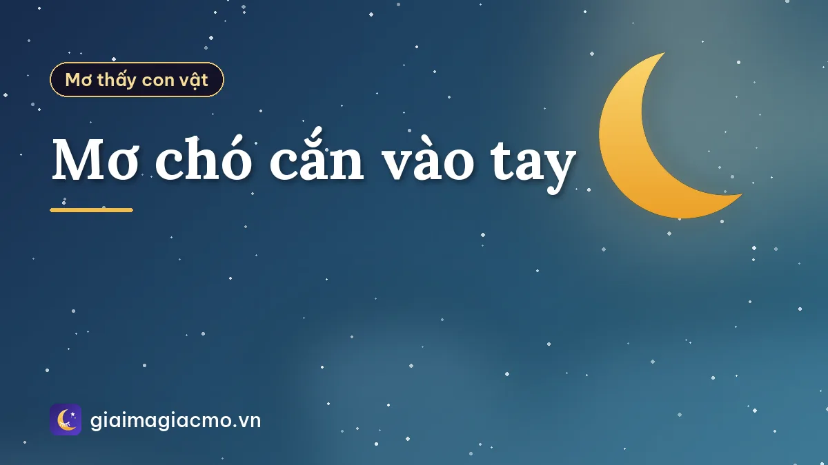 Mơ chó cắn vào tay