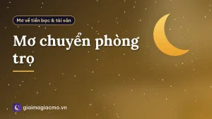 Mơ chuyển phòng trọ