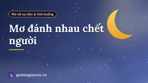 Mơ đánh nhau chết người
