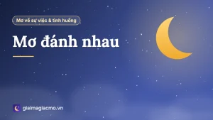 Minh hoạ giải mã giấc mơ đánh nhau bằng kiếm