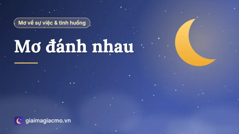 Mơ đánh nhau là điềm gì, đánh con gì? Giải mã chi tiết từng tình huống