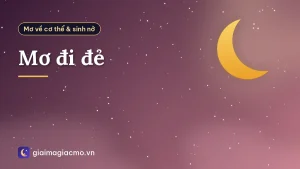 Mơ đi đẻ