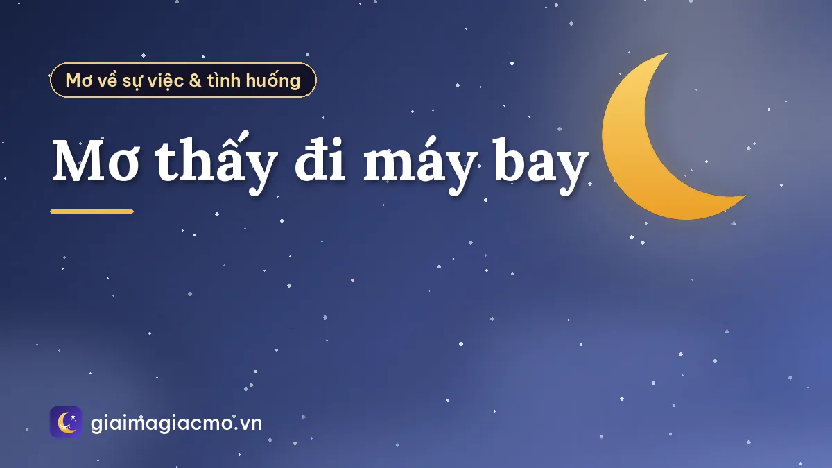 Mơ thấy đi máy bay