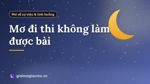 Mơ đi thi không làm được bài