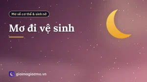 Mơ đi vệ sinh